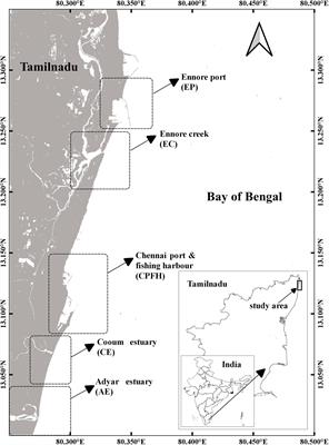 Assessment of Water Quality Along the Southeast Coast of India During COVID-19 Lockdown